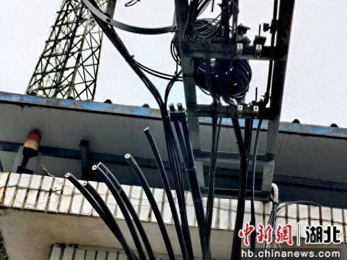 當陽警方雷霆出擊 成功偵破盜竊基站通訊設備系列案件